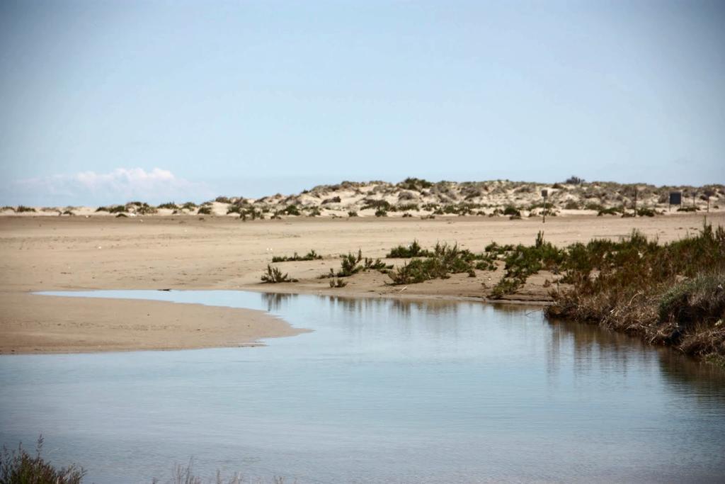 Mi Apartamento En El Delta Del Ebro 代尔特布雷 外观 照片