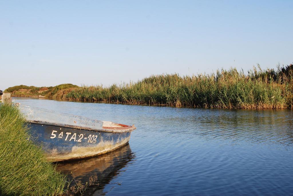 Mi Apartamento En El Delta Del Ebro 代尔特布雷 外观 照片