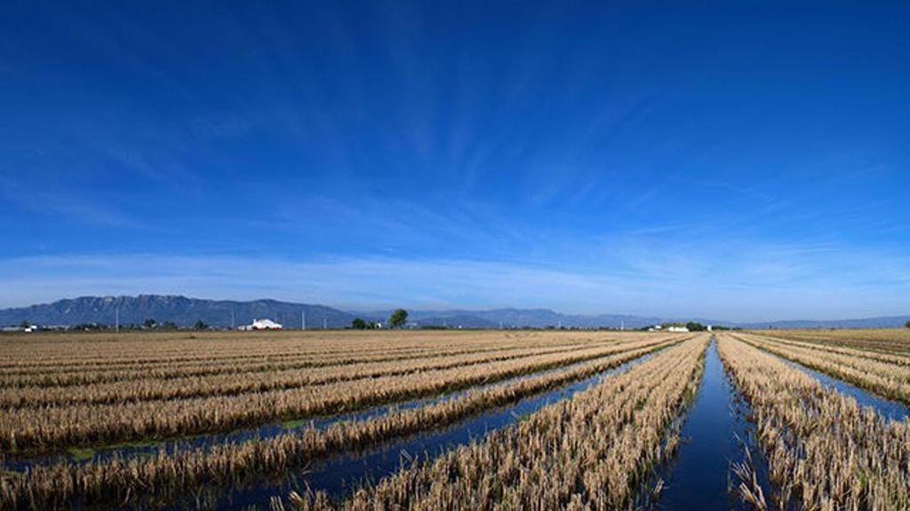 Mi Apartamento En El Delta Del Ebro 代尔特布雷 外观 照片