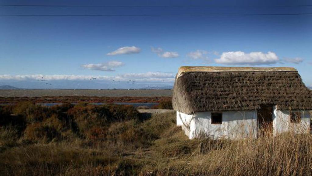 Mi Apartamento En El Delta Del Ebro 代尔特布雷 外观 照片