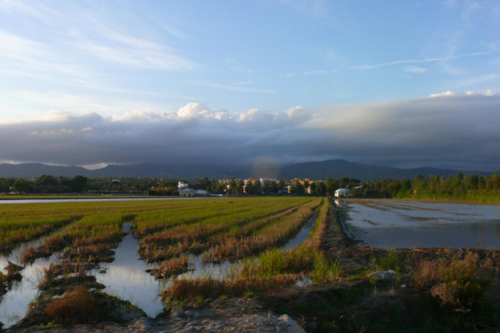Mi Apartamento En El Delta Del Ebro 代尔特布雷 外观 照片